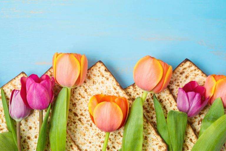 A blue background with orange and pink tulips
